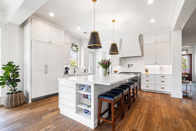 566 Wading Pl, Daniel Island, SC 29492 - kitchen featuring custom exhaust hood, high end stove, open shelves, backsplash, and recessed lighting