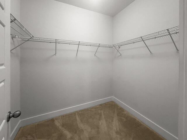 spacious closet with carpet floors