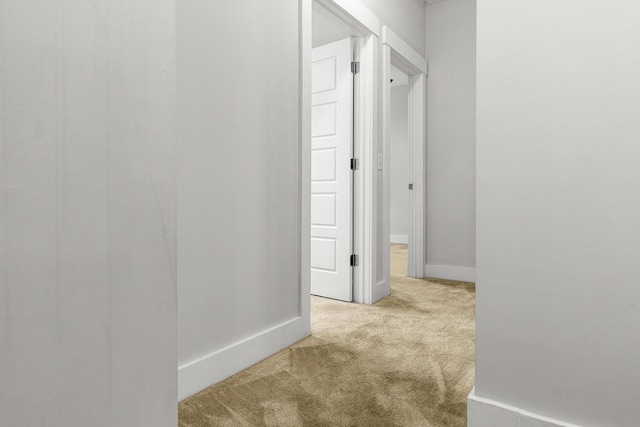 hall with carpet floors and baseboards