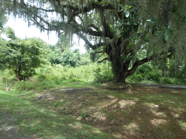 8046 Cedar Hall Rd, Edisto Island SC, 29438 land for sale