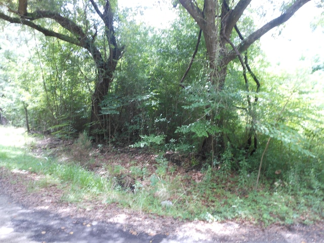 Listing photo 2 for 8046 Cedar Hall Rd, Edisto Island SC 29438