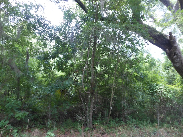 Listing photo 3 for 8046 Cedar Hall Rd, Edisto Island SC 29438