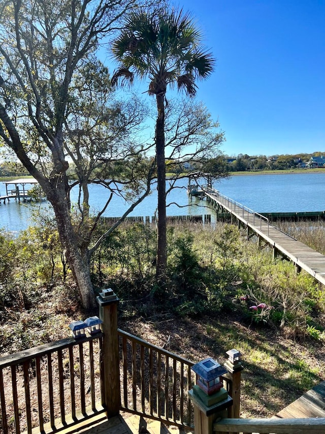 exterior space with a water view and a dock