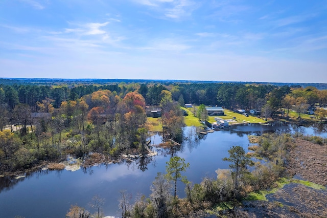 drone / aerial view with a water view and a wooded view