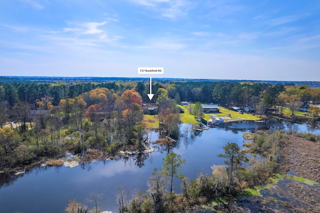 bird's eye view featuring a water view and a forest view