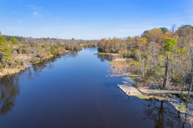 property view of water with a dock and a forest view