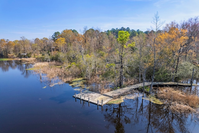 view of dock featuring a water view and a wooded view