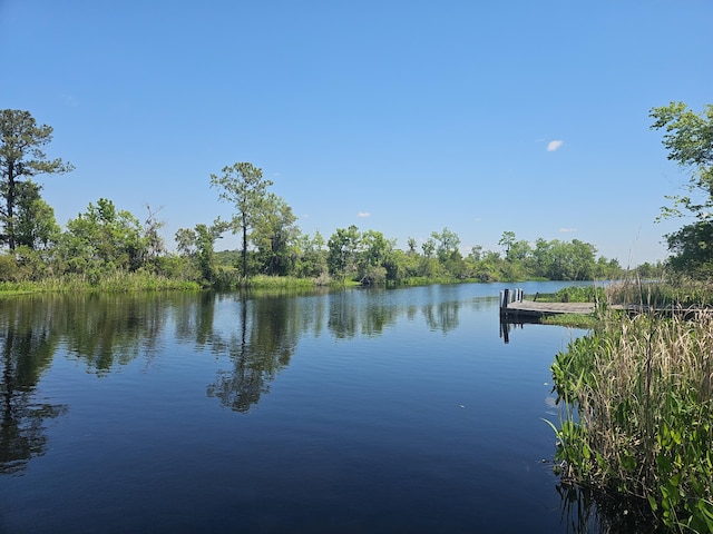 water view featuring a boat dock