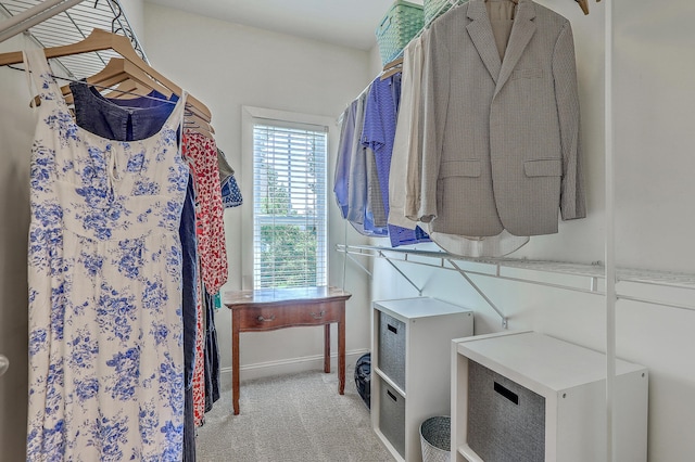 1408 Bimini Dr, Charleston, SC 29414 - walk in closet with carpet flooring