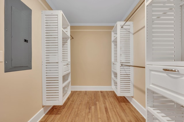 walk in closet featuring electric panel and light hardwood / wood-style floors