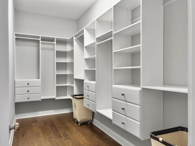 walk in closet featuring dark hardwood / wood-style floors