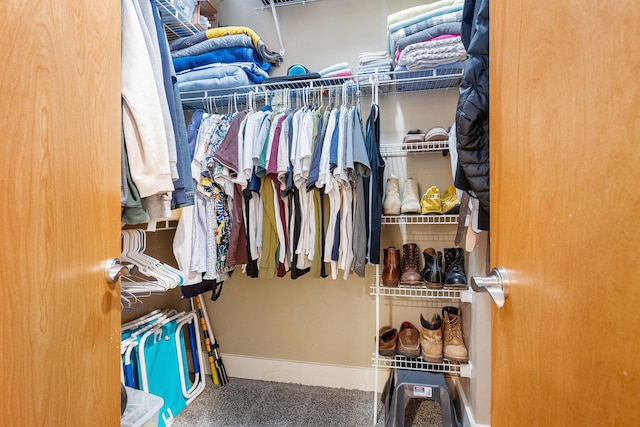 spacious closet with carpet floors