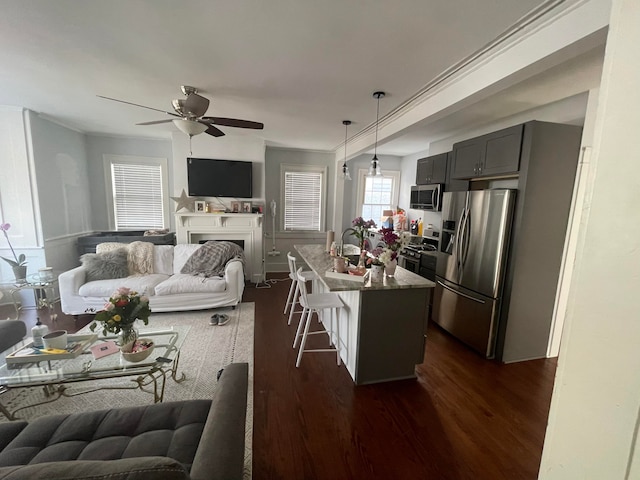 kitchen with appliances with stainless steel finishes, a kitchen island, gray cabinets, ceiling fan, and dark hardwood / wood-style floors