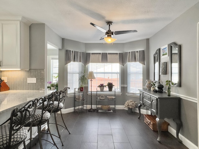 482 Planters Trace Dr, Charleston, SC 29412 - dining room featuring healthy amount of natural light, ceiling fan, baseboards, and a textured ceiling