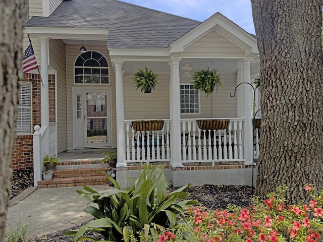 482 Planters Trace Dr, Charleston, SC 29412 - view of exterior entry featuring a porch and roof with shingles