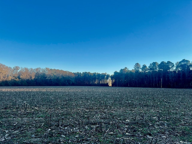 1 Seven Mile Rd, Harleyville, SC 29448