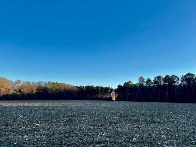 1 Seven Mile Rd, Harleyville, SC 29448