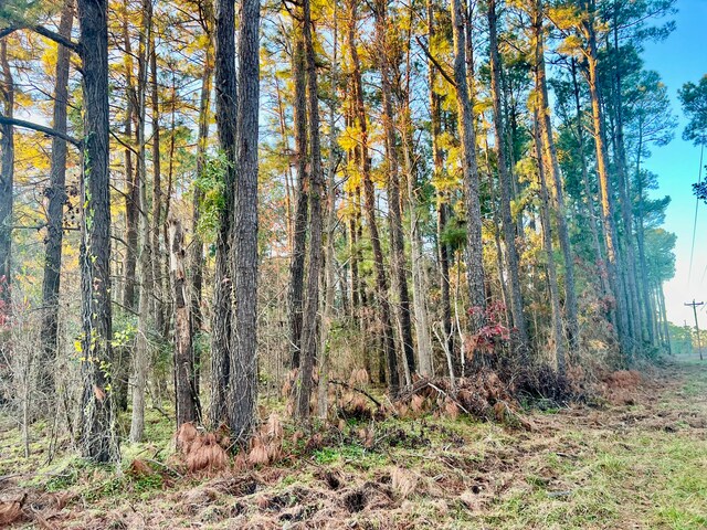 1 Seven Mile Rd, Harleyville, SC 29448