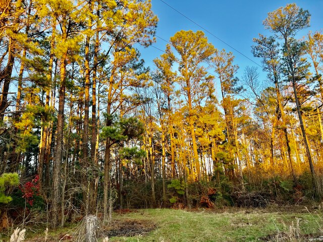 1 Seven Mile Rd, Harleyville, SC 29448