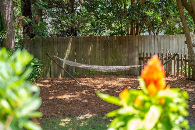 708 Lawton Harbor Dr, Charleston, SC 29412 - view of yard