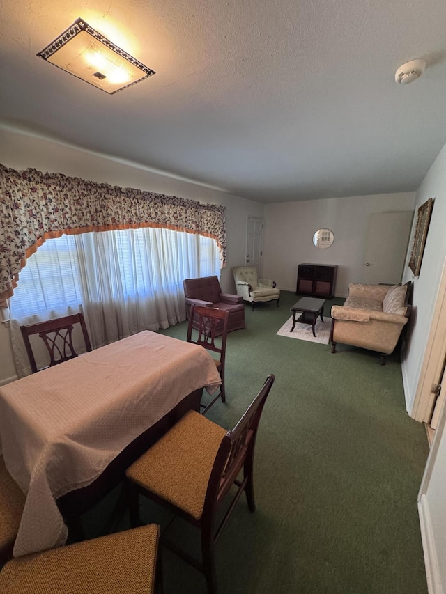 686 W Pine St, Varnville, SC 29944 - dining area with carpet floors and a textured ceiling