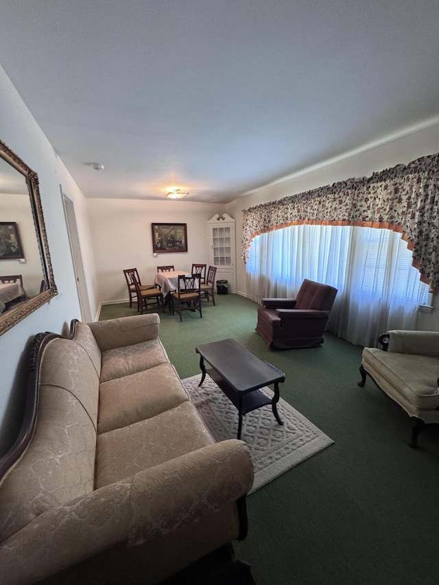 686 W Pine St, Varnville, SC 29944 - living room with carpet flooring