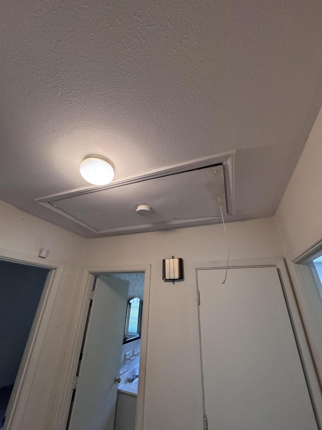686 W Pine St, Varnville, SC 29944 - detailed view of a textured ceiling