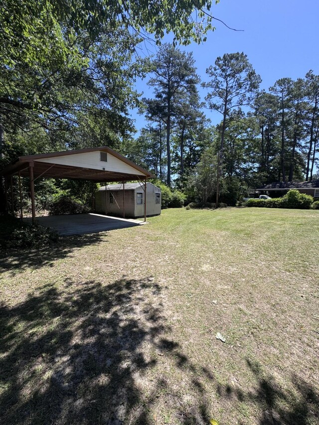 686 W Pine St, Varnville, SC 29944 - view of grassy yard