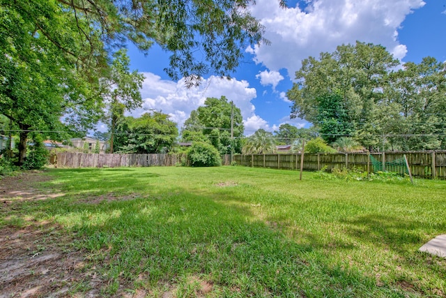 2538 Wayne Scott Ct, Charleston, SC 29414 - view of fenced backyard