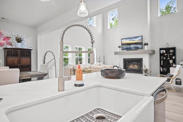 1387 Thin Pine Dr, Johns Island, SC 29455 - kitchen featuring open floor plan, wood finished floors, a glass covered fireplace, a sink, and light countertops