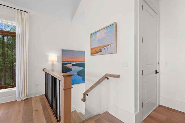 stairway featuring wood finished floors and lofted ceiling