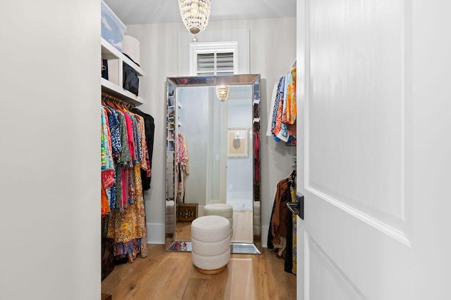 spacious closet with wood finished floors