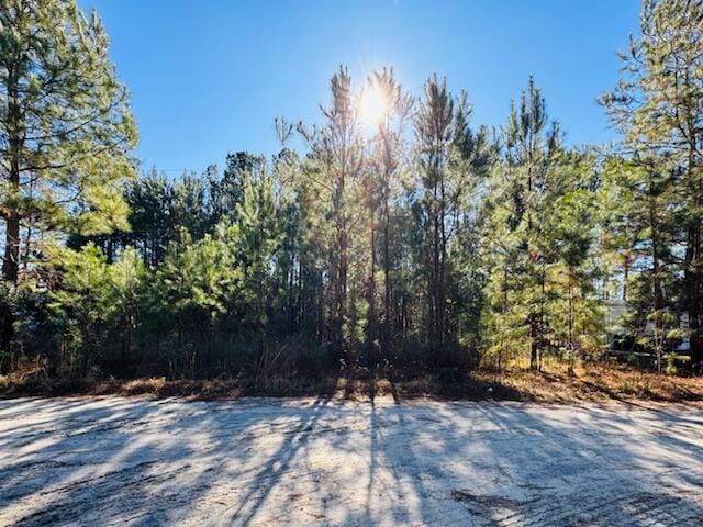 274 Sunny Lp, Varnville SC, 29944 land for sale