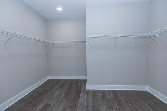 spacious closet with dark hardwood / wood-style flooring