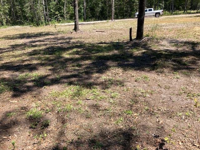 00 Wildgame Rd Lot 1, Summerville, SC 29485