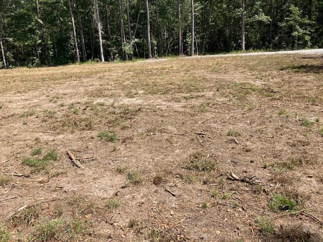 Listing photo 3 for 00 Wildgame Rd Lot 1, Summerville SC 29485