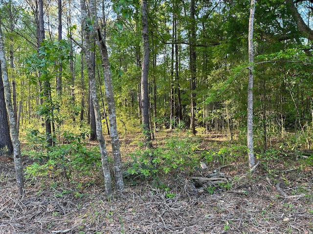 7437 Andy Rd, Hollywood SC, 29449 land for sale