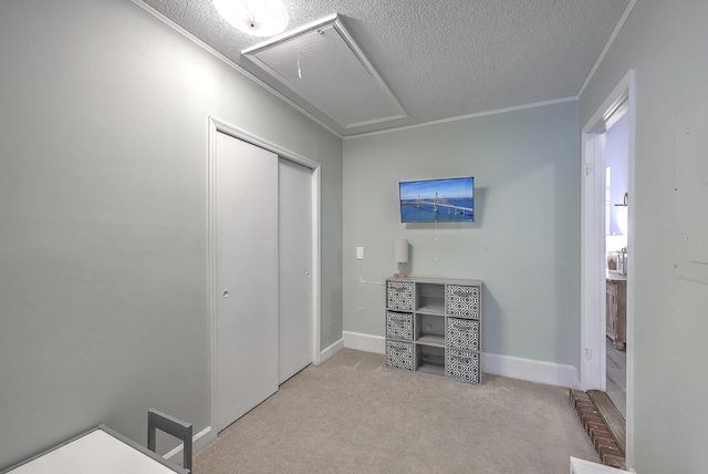 bedroom with a textured ceiling, light carpet, and a closet