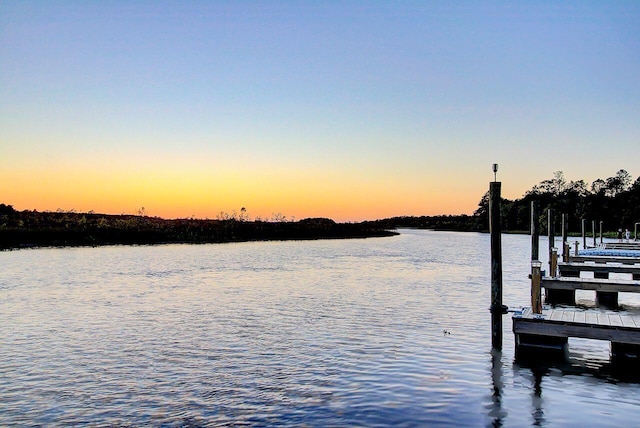 dock area featuring a water view