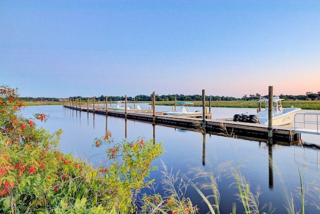 dock area featuring a water view