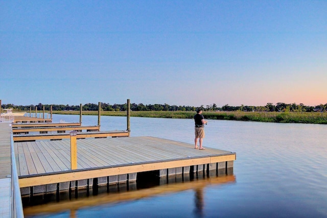 dock area featuring a water view