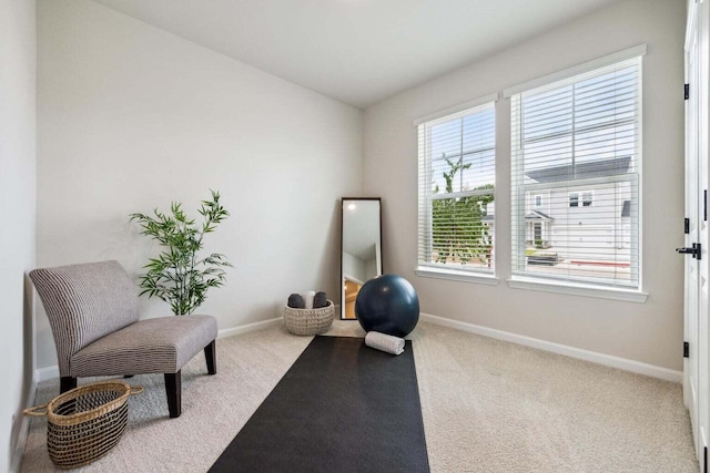 453 White Magnolia St, Moncks Corner, SC 29461 - exercise area featuring carpet and baseboards