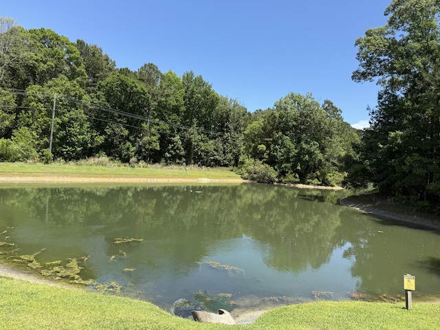 1418 Whispering Oak Trl, Mount Pleasant, SC 29466 - water view with a heavily wooded area