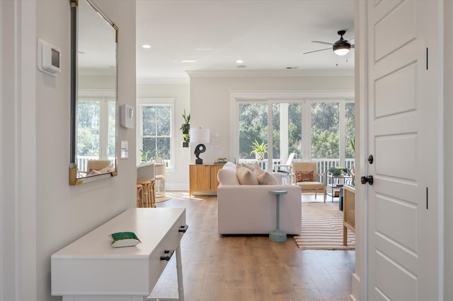 living room featuring ceiling fan, ornamental molding, light wood-type flooring, and recessed lighting