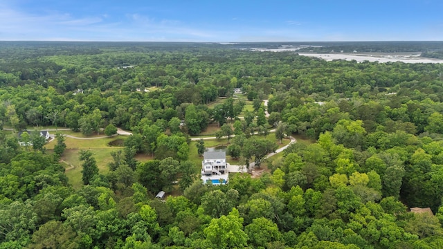 aerial view of a forest