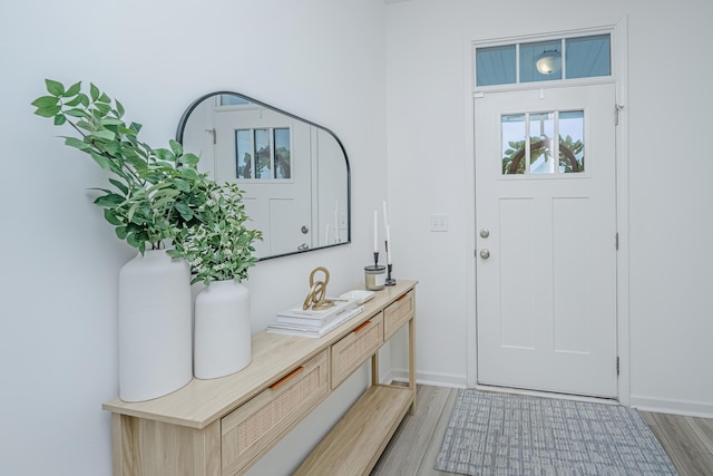 entrance foyer with light wood-type flooring