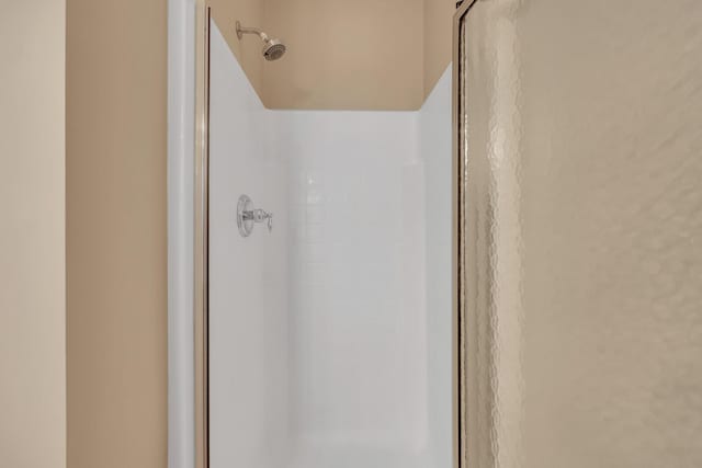 details with a shower with door