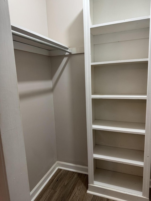 spacious closet with dark hardwood / wood-style flooring