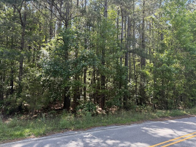 LOT01 Clarks Hill Dr, Saint George, SC 29477