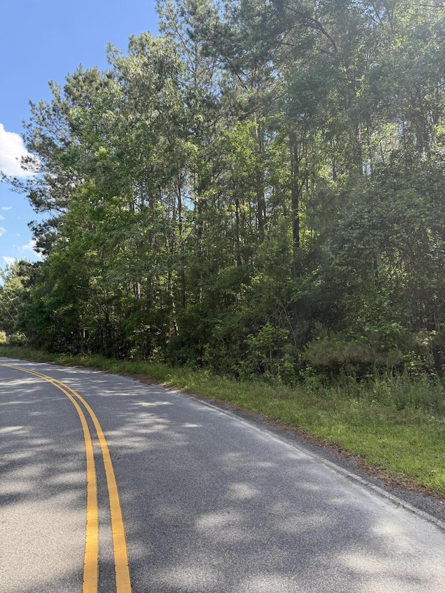 LOT01 Clarks Hill Dr, Saint George, SC 29477